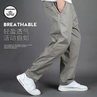 cms/erpbt/backend/web/uploads/erp/collection/images/Men Clothes/MENSI/EN0186484/img_b/EN0186484_img_b_1